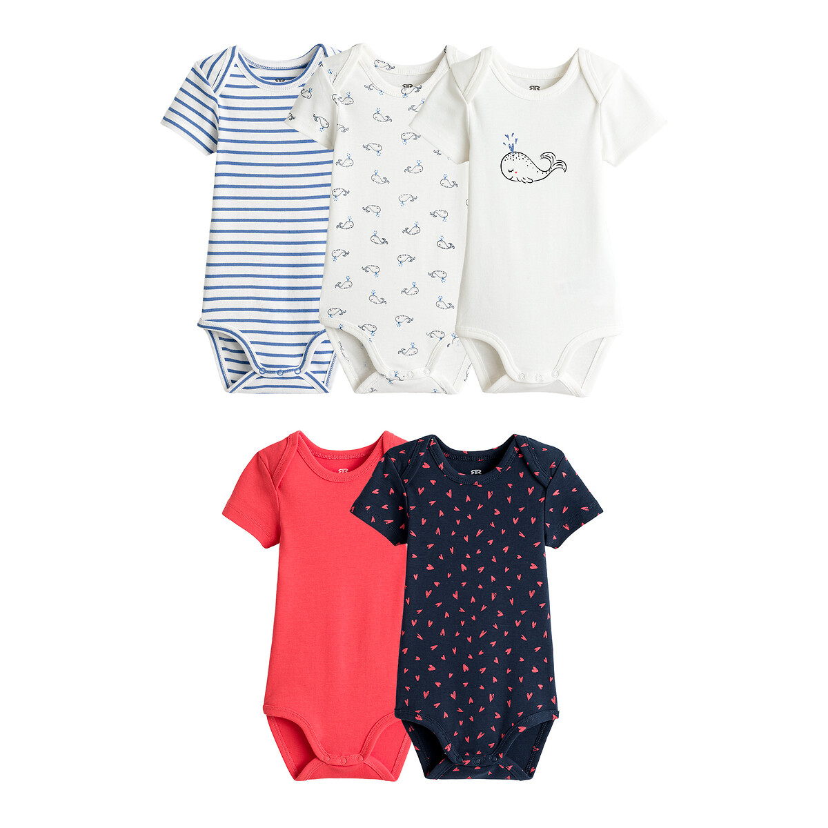 Комплект из 5 боди из LA REDOUTE COLLECTIONS, Синий, Биохлопка 1 мес - 3 года 1 мес. - 54 см синий
Комплект из 5 боди из LA REDOUTE COLLECTIONS, Синий, Биохлопка 1 мес - 3 года 1 мес. - 54 см синий