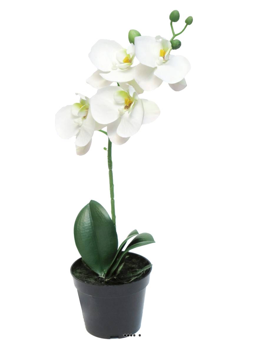 Orchid E Phalaenopsis Factice En Pot Qualit Couleur Cr Me