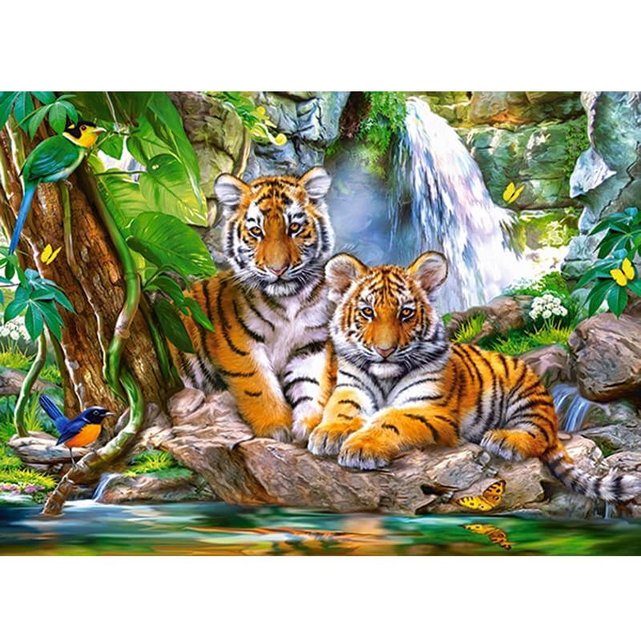 Puzzle Pi Ces Tigres Castorland La Redoute