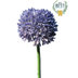 Allium Artificiel En Tige H Cm Lavande Best Couleur Lavande