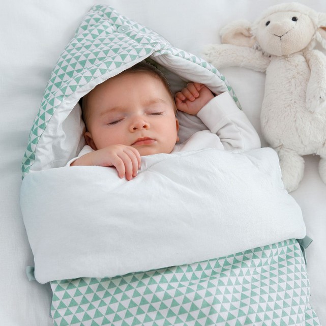Nid bébé nouveau-né avec oreiller