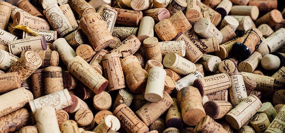 A Beginner’s Guide to Wine Tasting