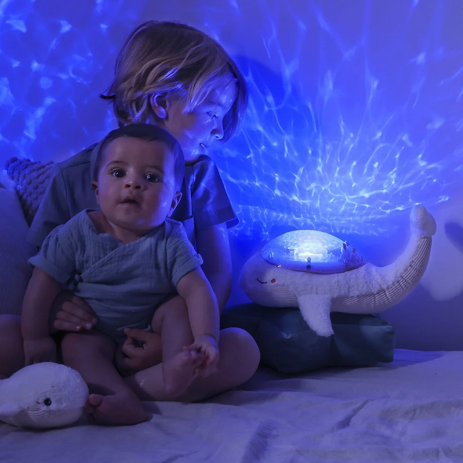 veilleuse chambre b&eacute;b&eacute; mixte