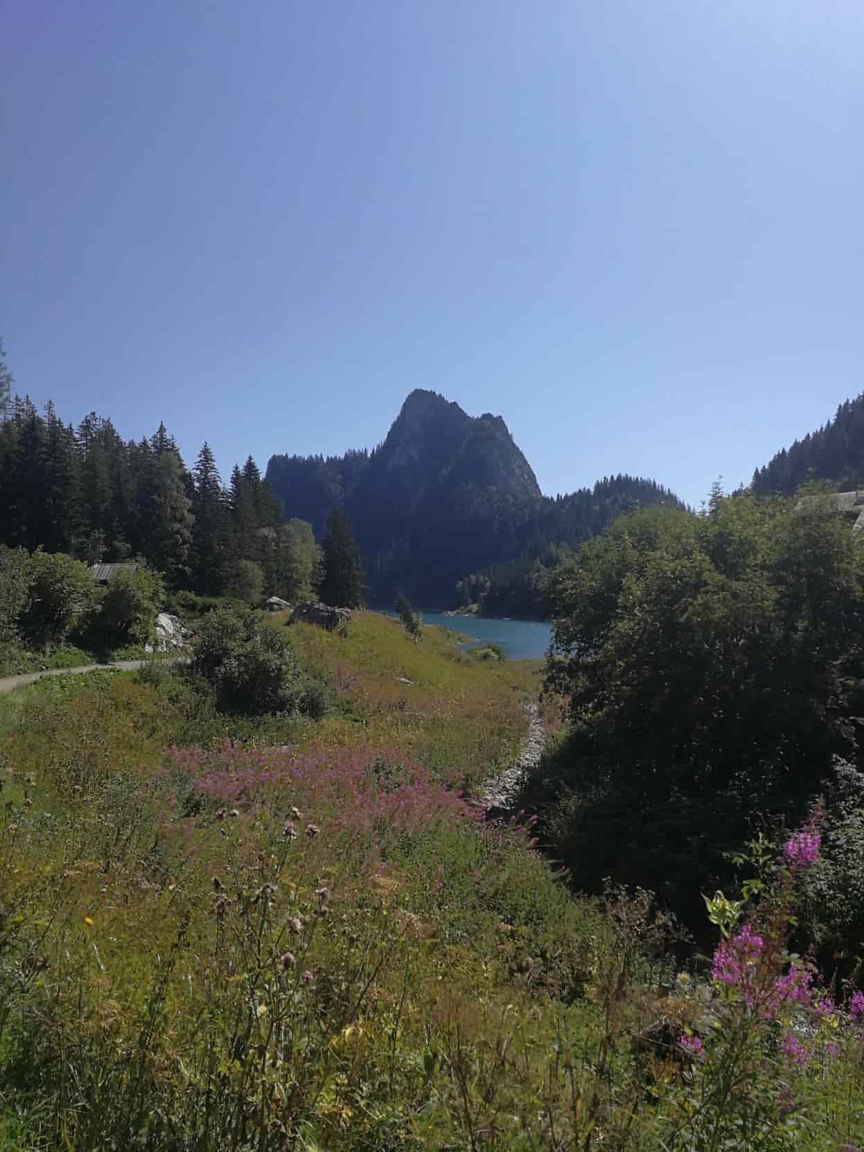 Lac Taney.jpg