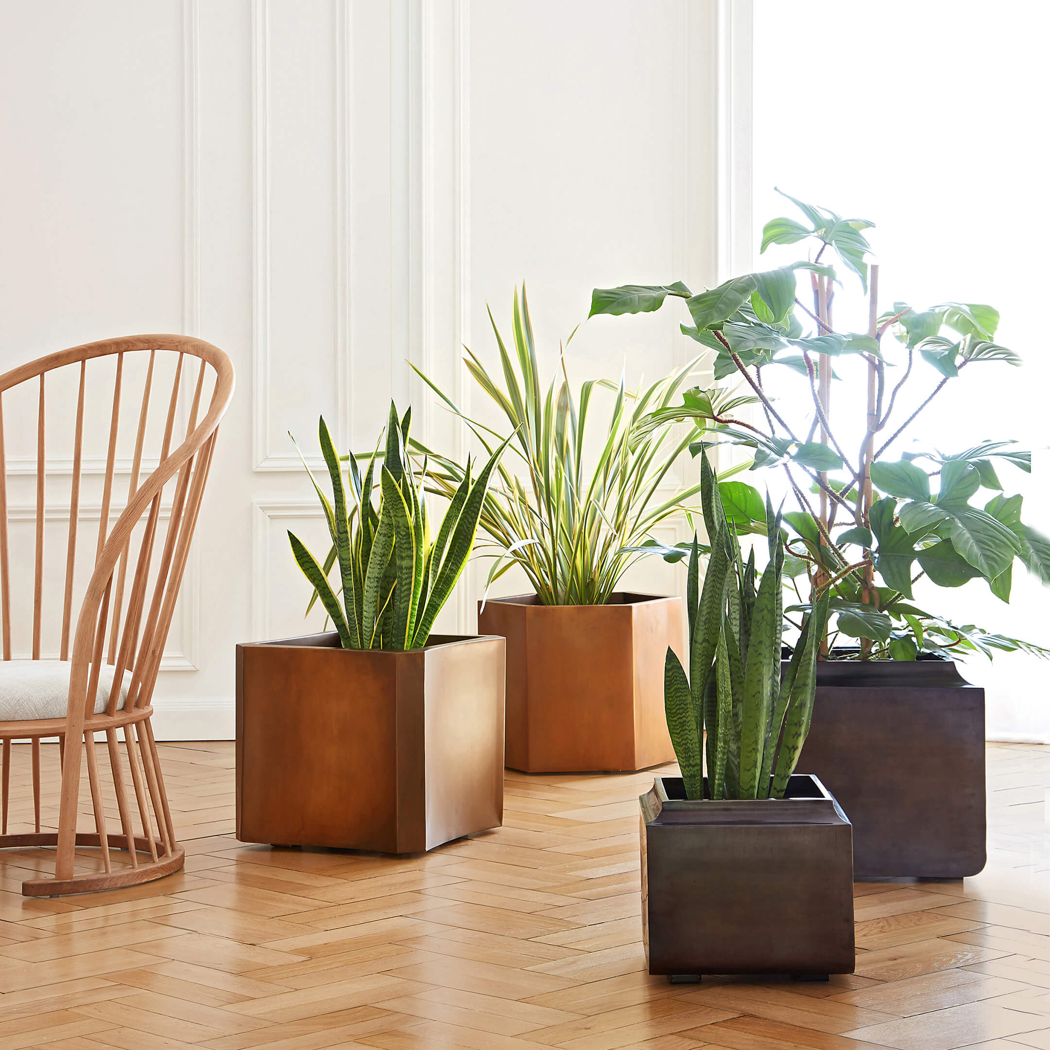four-botania-metal-cube-plant-pots-on-floor.jpg