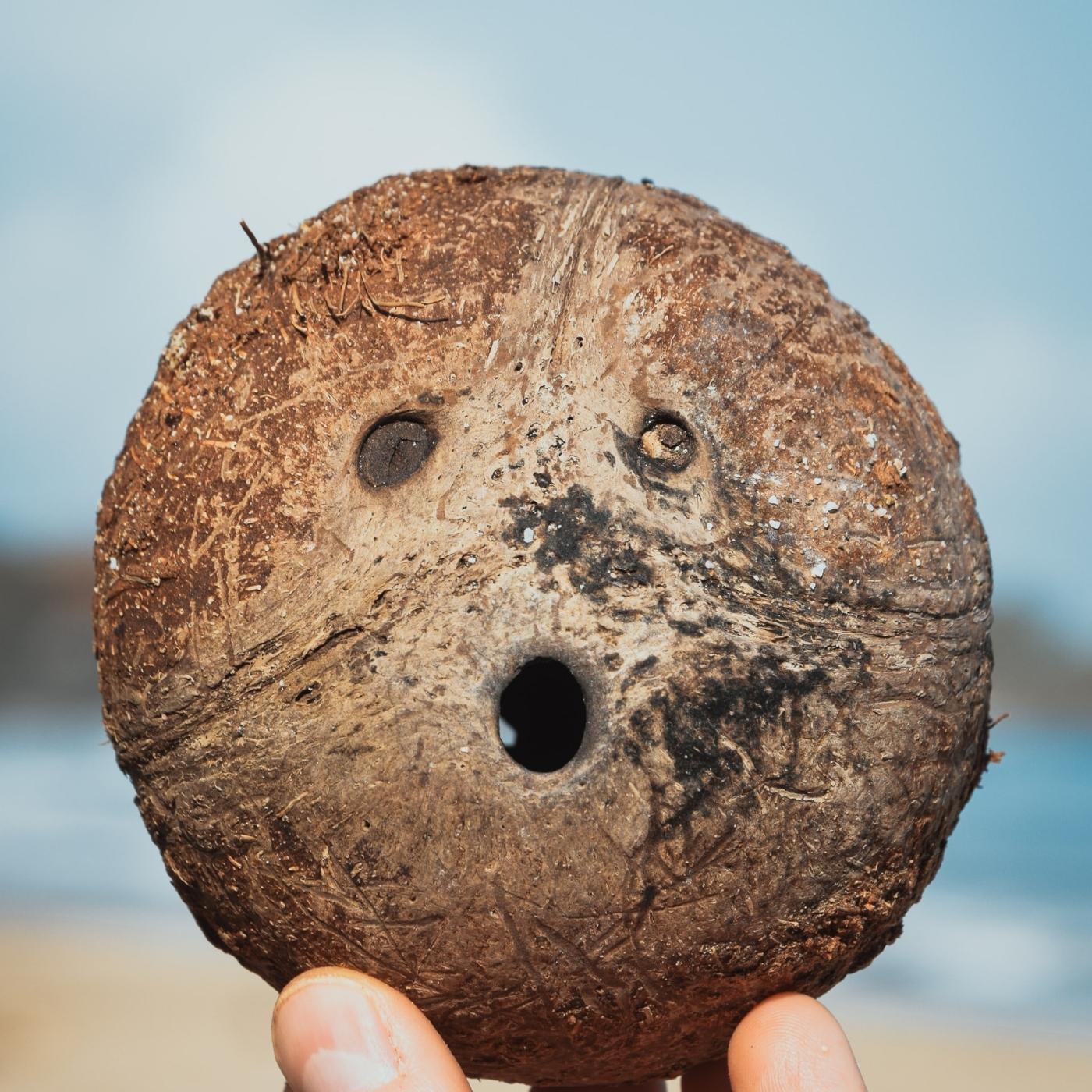 holding-coconut.jpg