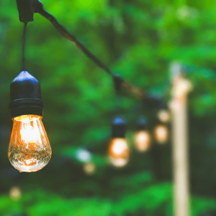string-lights-across-garden.png
