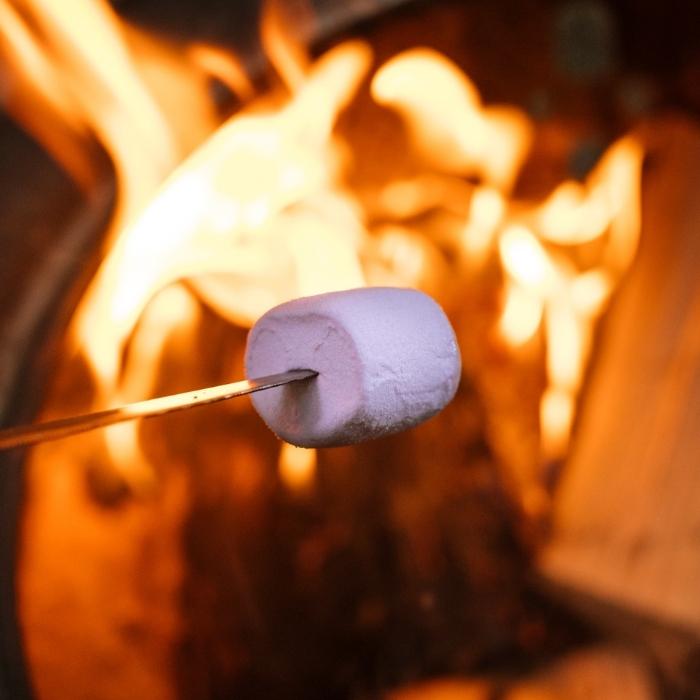 toasting-marshmallow.jpg