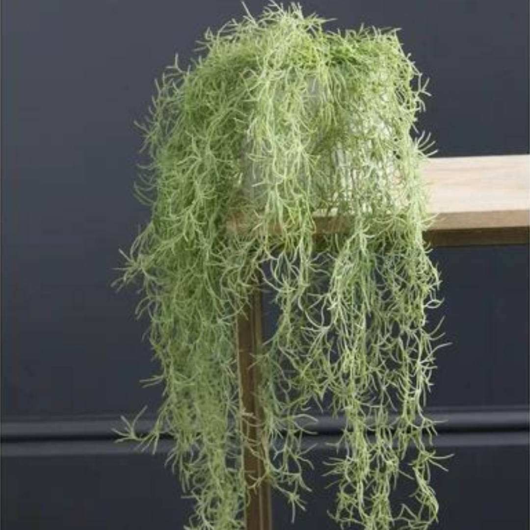70cm Artificial Trailing Spanish Moss / Tilandsia Plant