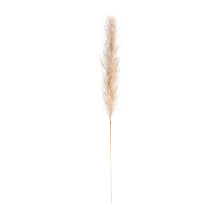 010.png