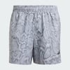 Halo Silver / Grey
