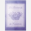 Violet Lilas