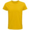 Bouton D'Or