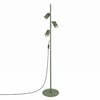 Vert Olive