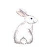 Tableau Alu Dibond