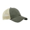 Olive / Beige Gris