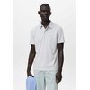 Ivoire