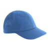 Bleuet