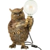 Marron Effet Antique