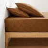 Ocre Doré