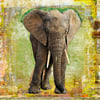 Tableau Alu Dibond