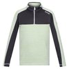 Menthe Douce / Gris Phoque