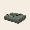 Vert Sequoia Et Beige