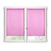 Fuschia