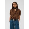 Marron Brown Leopard