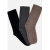 Marron Lot Noir