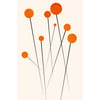 Tableau Alu Dibond