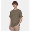 Kaki Olive