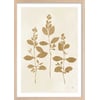 Affiche + Cadre En Bois - Chêne