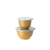 Curry