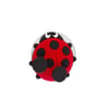 Coccinelle