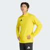 Team Yellow / Black