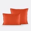 Orange Cuit