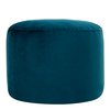 Bleu Canard
