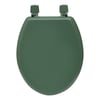 Vert Ficus
