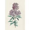 Tableau Alu Dibond