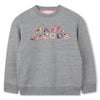 Gris Chine Acier