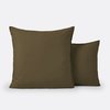Moss Green