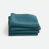 Bleu De Prusse