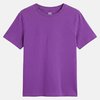 Violet Fuchsia