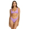 Violet Paradise Purple