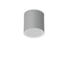 Gris