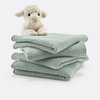Vert De Gris