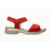 Rouge Scarlet 5149