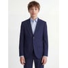 Bleue - Medieval Blue 1