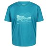 BLEU TURQUOISE